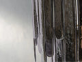 Rainy Chandelier ARDENEL