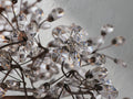 Fiona Oval Chandelier ARDENEL