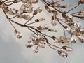 Fiona Crown Chandelier ARDENEL
