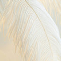 Modern Designer Ostrich Feather Table Lamp H31.5